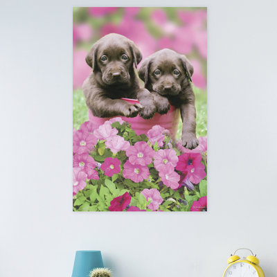 Animals Paper Print