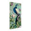« pretty peacock i », reproduction sur toile tendue-31356058