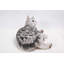 Statue de chat américain allongé