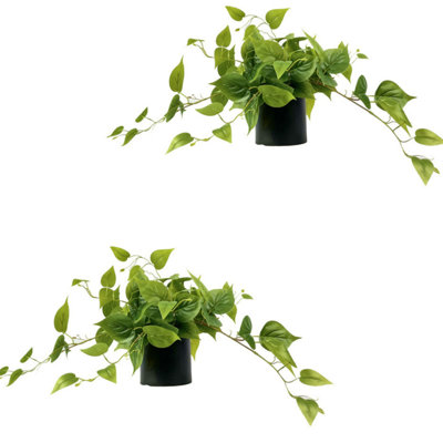 2Pack de plantes avec pot pour la décoration d'intérieur