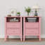 Amberrae 2 Drawer Bedside Table-1188240052