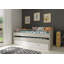 Rayo European Single (90 X 200 Cm) Daybed with Storage Included with Trundle Included-1388197041-1388197042