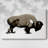 Monochrome Bison I-Gallery Wrapped Canvas-1931144835