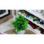 Plateau de service-1333062996