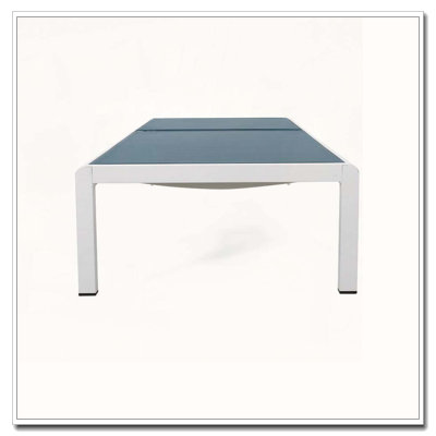CHAISE LUNGE