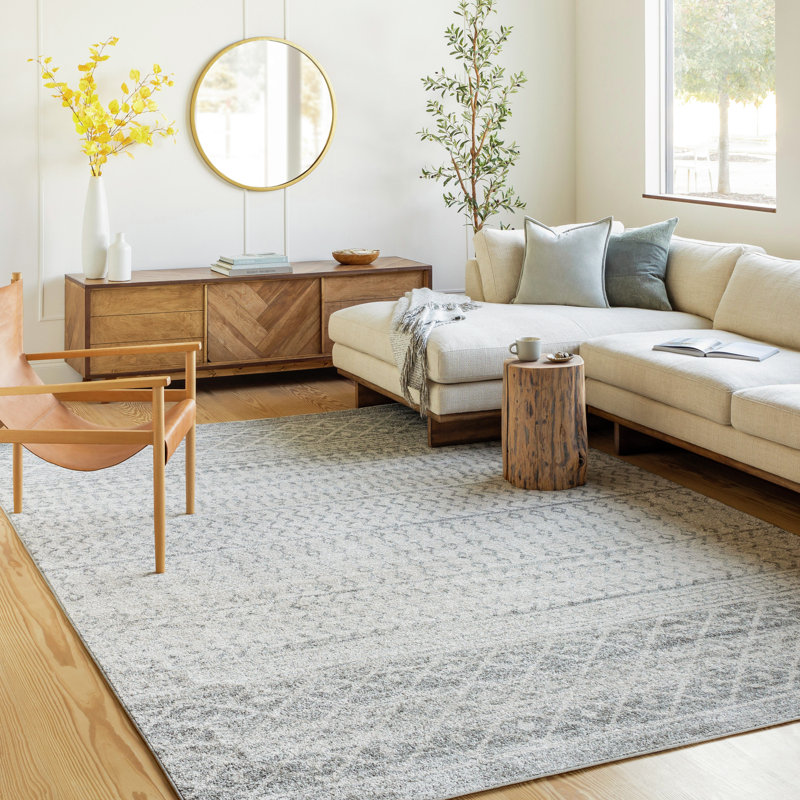Narine Machine Woven Grey/White Indoor Rug, Rectangle 80 x 150 cm