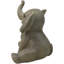 Faune 5 po