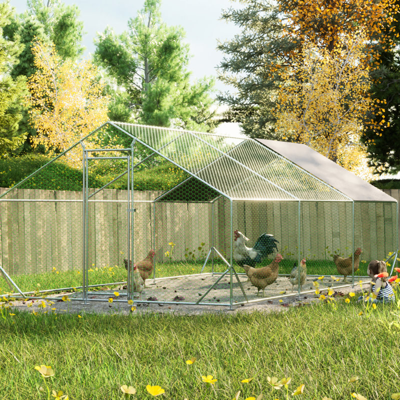Cage à poulets avec couvercle amovible et imperméable pour l'extérieur
