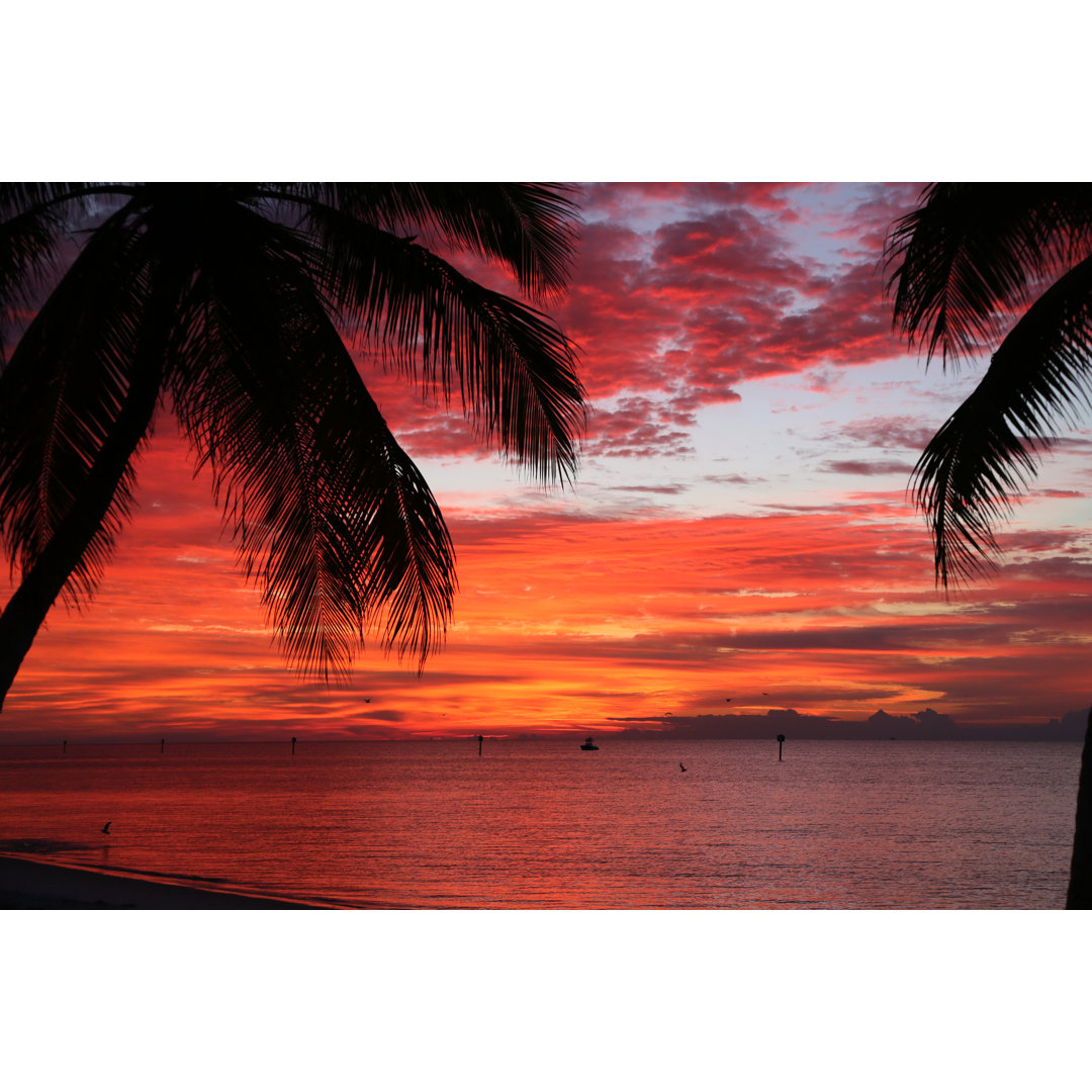 Sonnenaufgang in Key West von Rgaydos - Kunstdrucke ohne Rahmen auf Leinwand