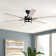 Osakis 56" Ceiling Fan with LED Light