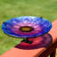 Bain d'oiseaux en verre avec piquet Morning Glory