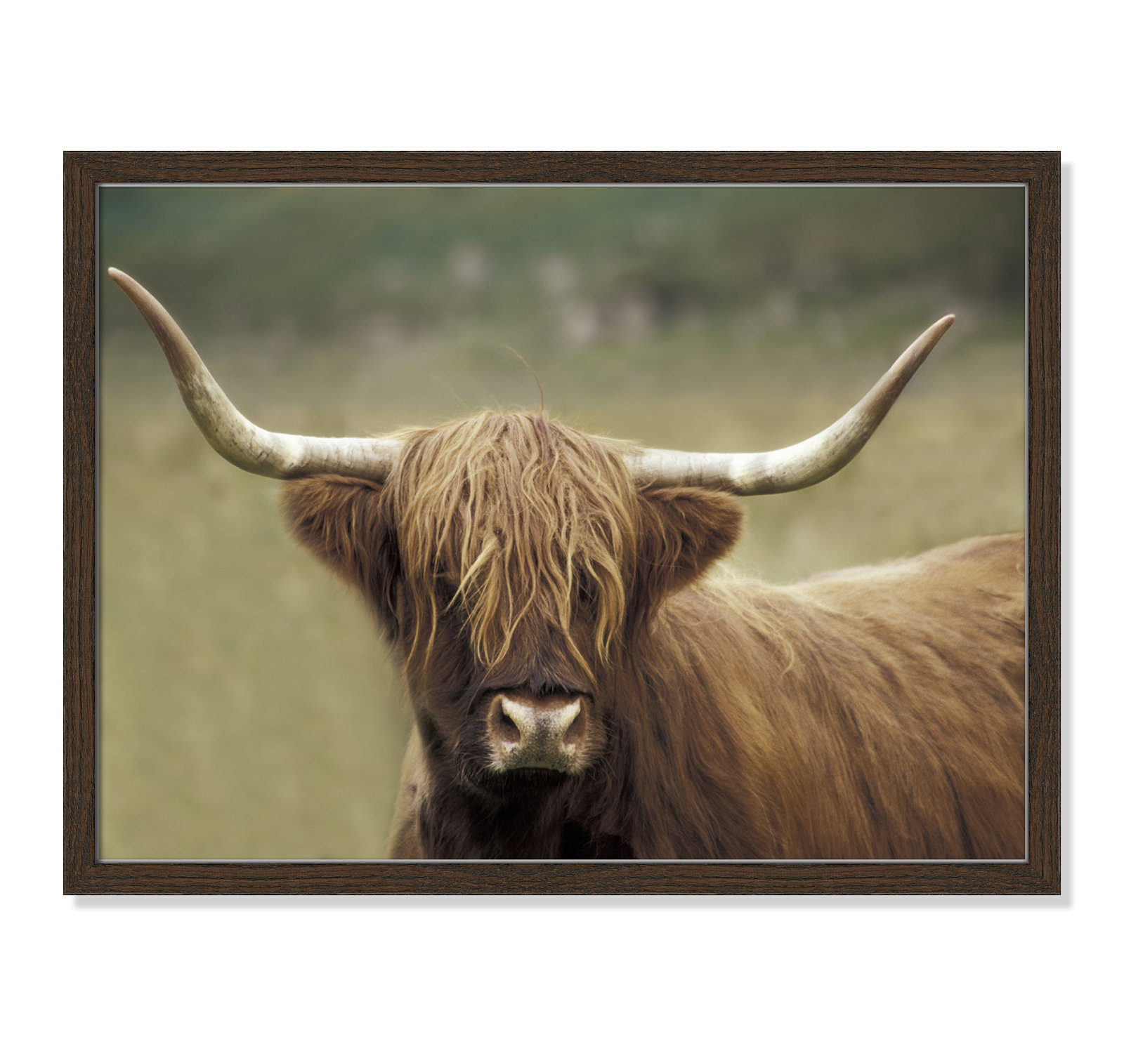 Frederic "Highland Afternoon" Print, 17" H x 23" W x 0.75" D, Walnut Wood Grain Framed