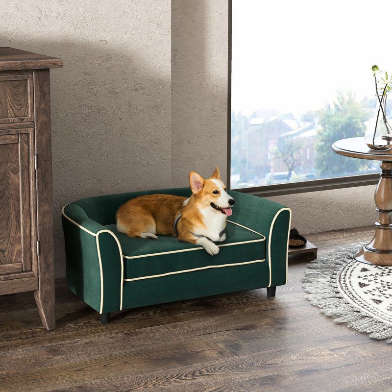 Lit confortable pour petits et moyens chiens, canapé foncé, stable et nettoyable, chiens souffrant de problèmes articulaires