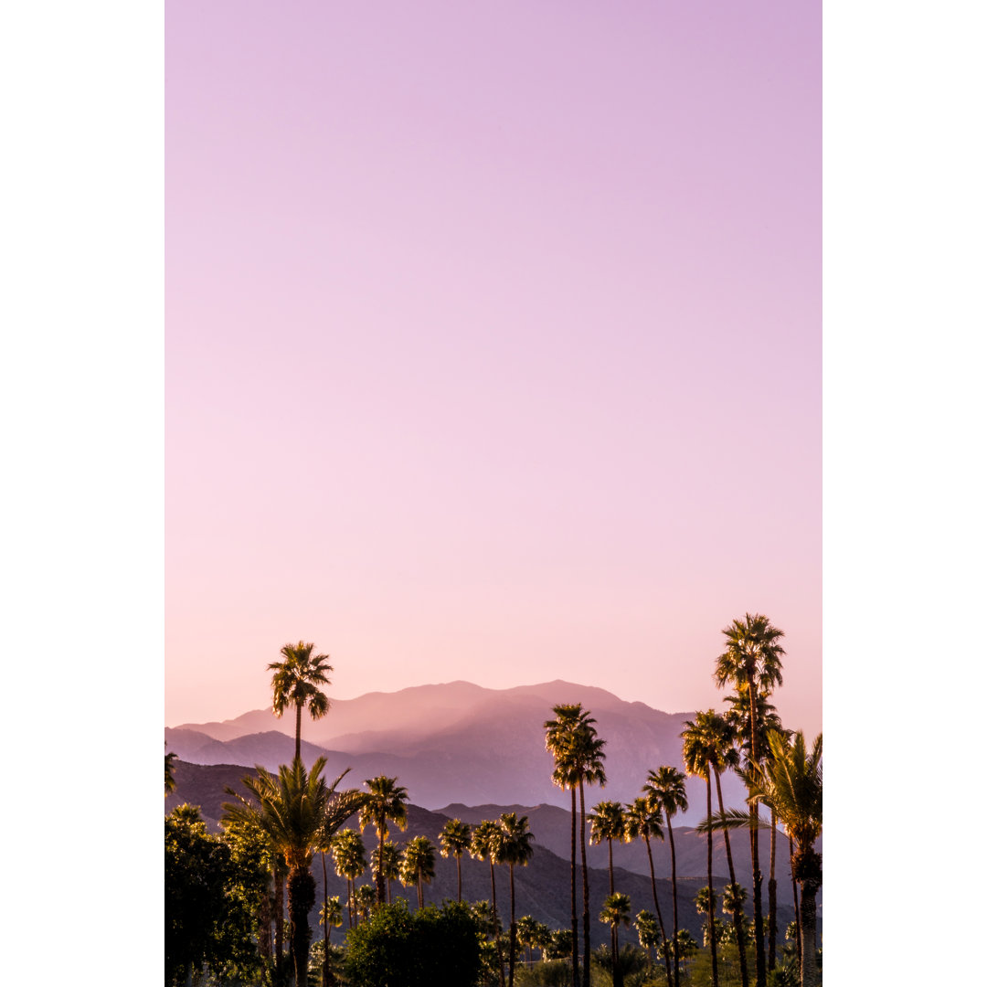 Palm Springs - Drucken