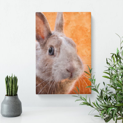 Bunny Rabbit in Colour - Wrapped Canvas