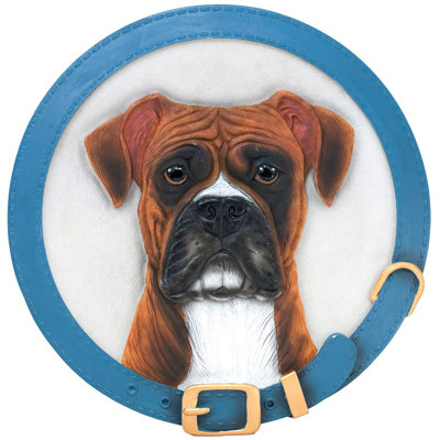 Boxer