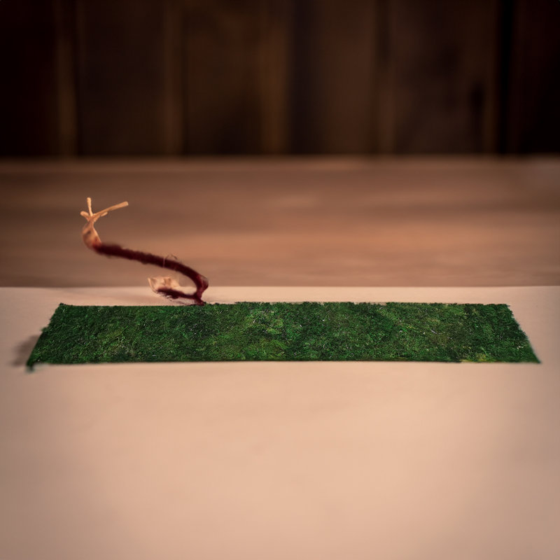 Chemin de table 12 po x 71 po Dry Moss Pad