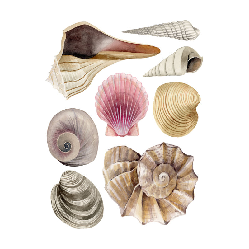 Sea Souvenirs I by Grace Popp - Wrapped Canvas Print, 91cm H x 61cm W