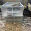Customer photo 2 of 2