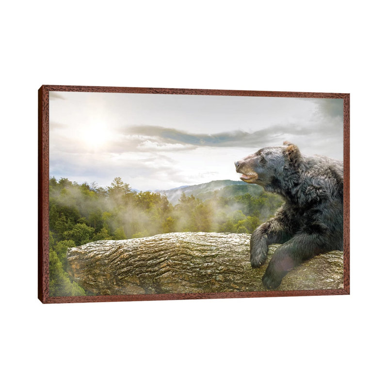 Bear In Tree At Smoky Mountains Park by Susan Schmitz - Print on Canvas, 66.04 cm H x 45.72 cm W, Classic Brown Wood Framed