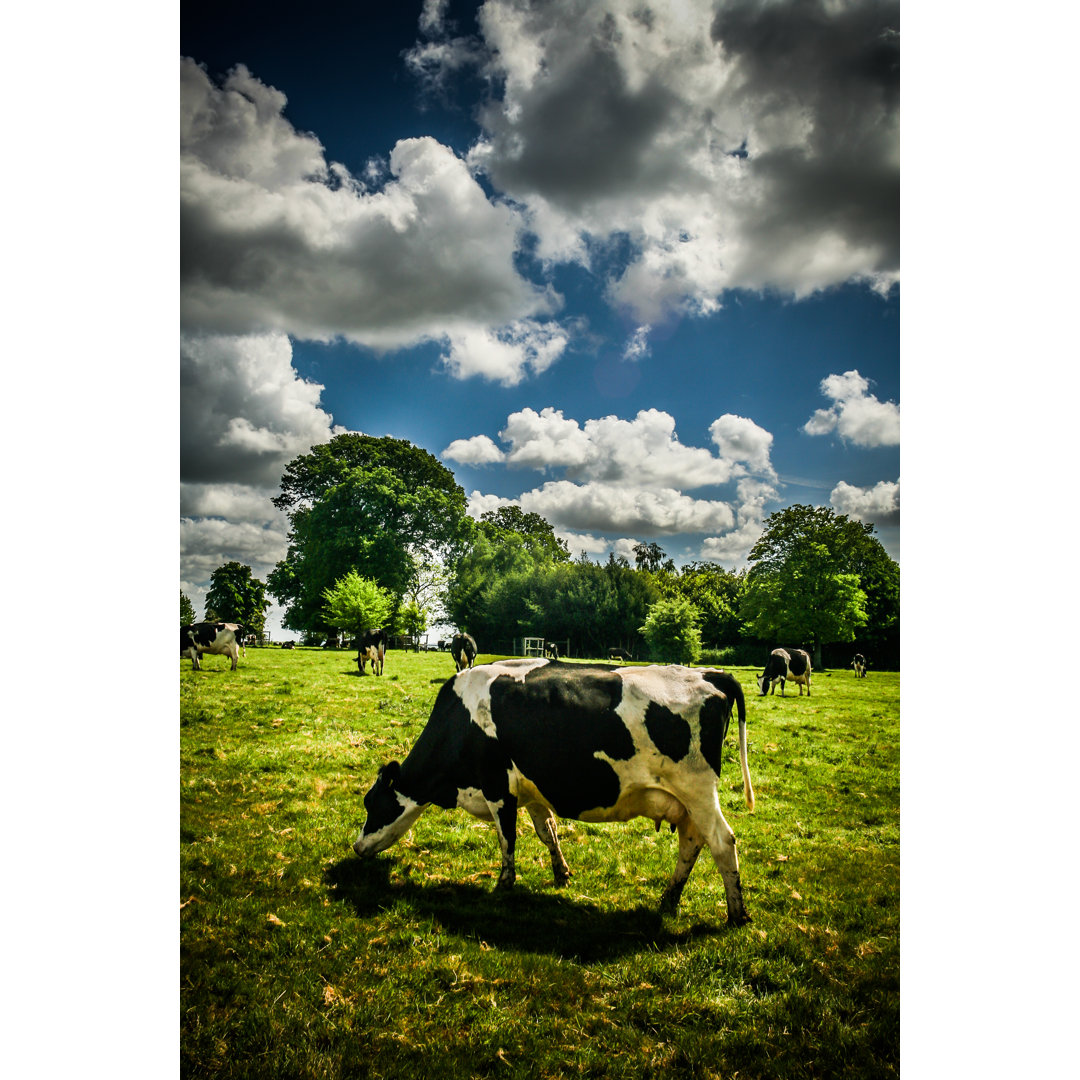 Grazing Gracefully von Coldsnowstorm - Druck auf Leinwand ohne Rahmen