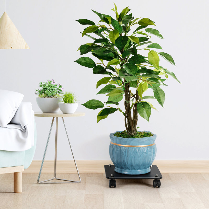 Support pour plante Marhta, Noir