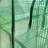 Greenhouse-98168461-98168460