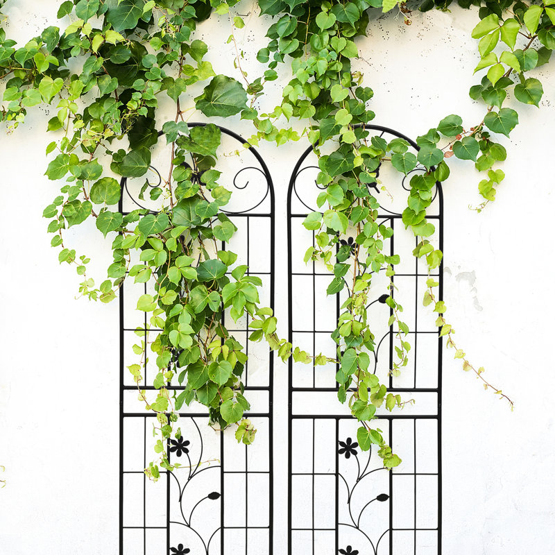 71 treillis de jardin en métal 71 po x 19,7 po, 2, rouille - extérieur pour vignes, noir, facile à installer, et paquet de 2 treillis 19,7 po, buissons antirouille, assemblage simple, structure robuste
