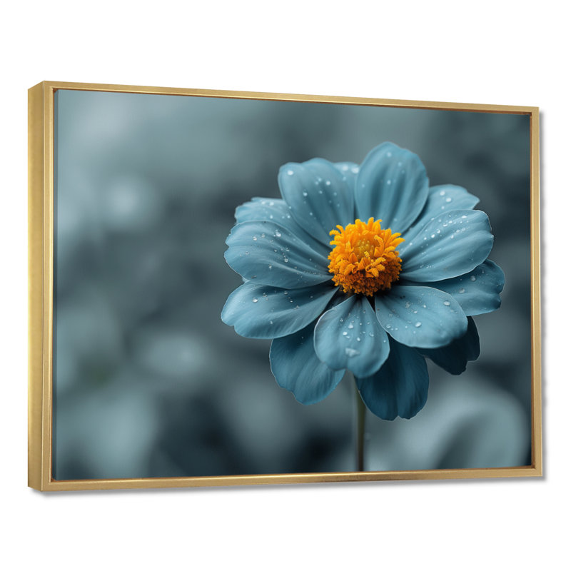 «Blue Grey Natures Marigold Photo», art mural souci, Cadre doré flottant, bois massif, H 30 po x l 40 po