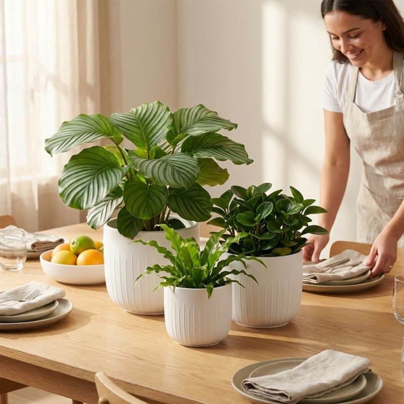 3-Piece White Stoneware Planter Pot Set With Vertical Groove Texture