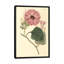 « ipomea jalapa », impression sur toile-31847751-73198199-73198200