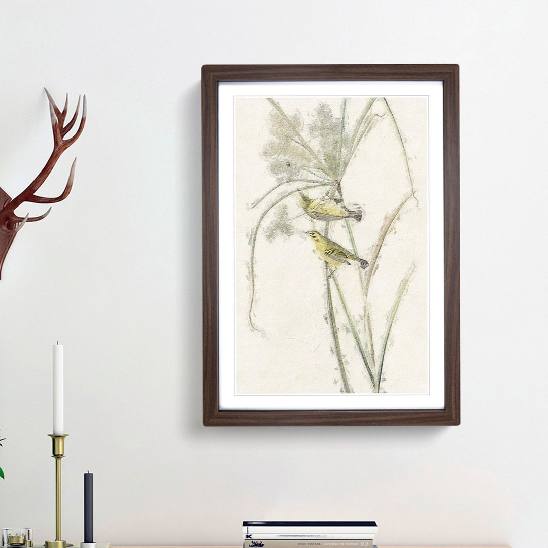 Prairie Warbler Birds by John Audubon - Picture Frame Painting Print