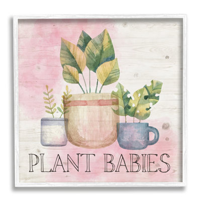 " Plant Babies Potted Sprigs Garden "
