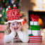 Christmas Santa Hats