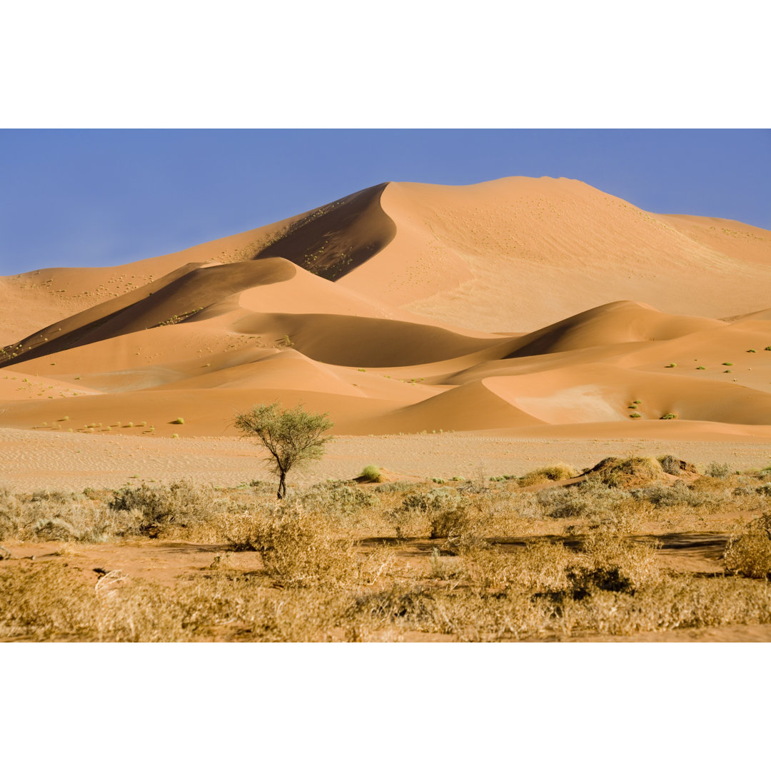 Schöne Dünen in der Namib-Wüste von Pinopic - Druck