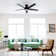 52" Zayden 5 - Blade Ceiling Fan With Lights and Remote