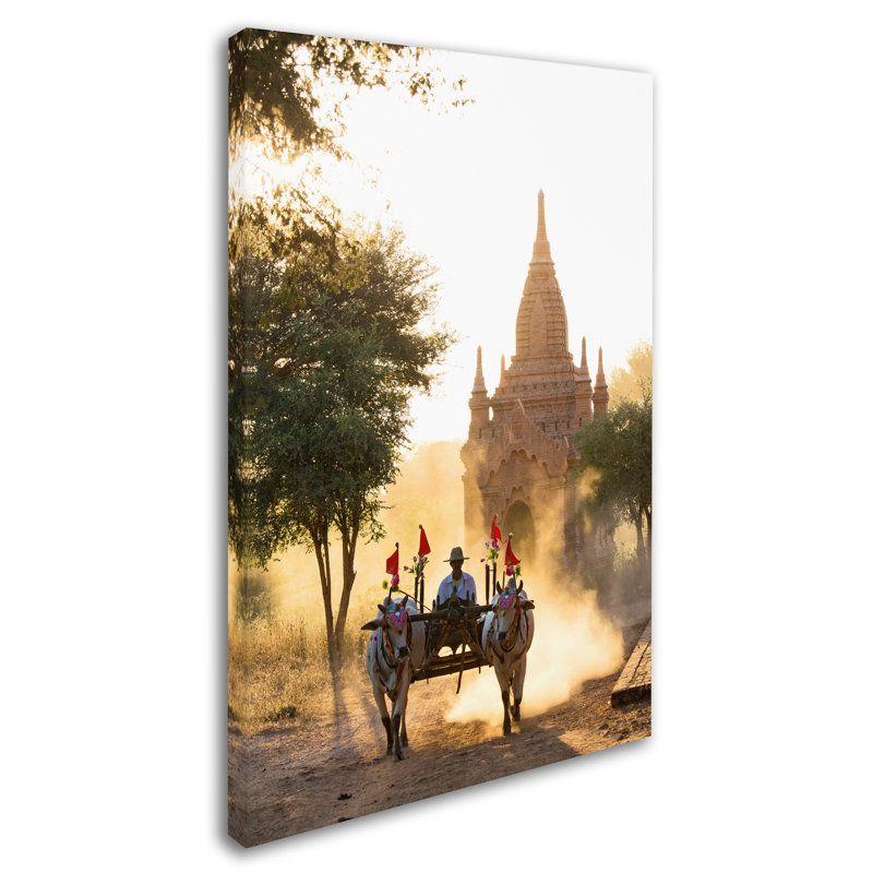 Ann "Carts 1", reproduction de photo sur toile tendue, H 24 po x l 16 po