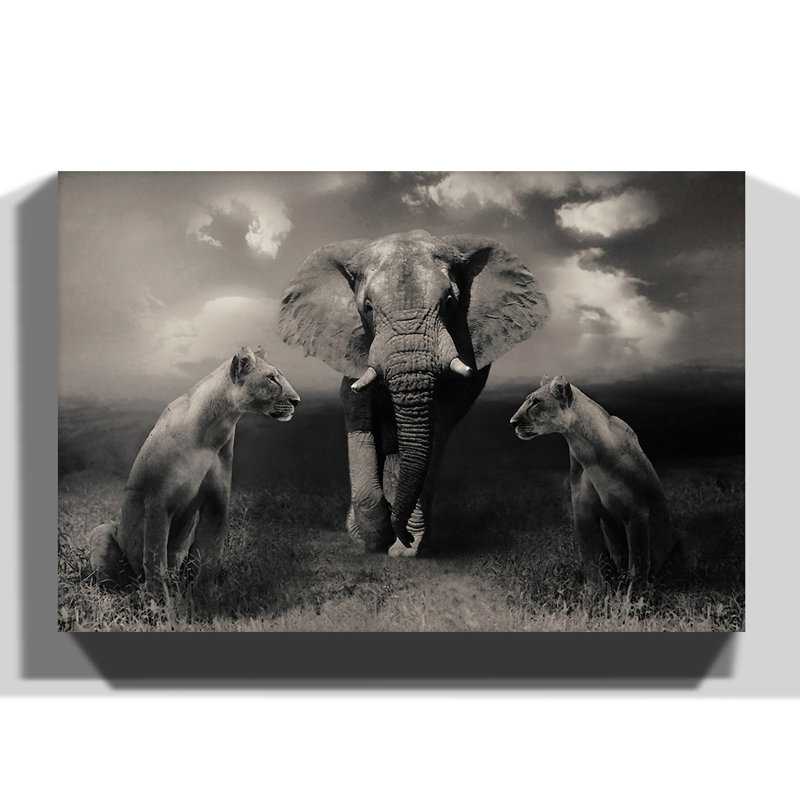 Wrapped Canvas Print, 40cm H x 60cm W