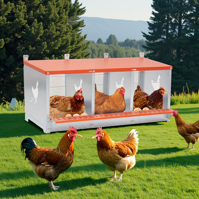 Boîte de nidification en métal orange à 3 baies - Fixation murale pour poules / canards, équipement de poulailler ventilé en acier galvanisé, collection facile d'œufs et assemblage sans outil + tapis de nidification en fibre de noix de coco