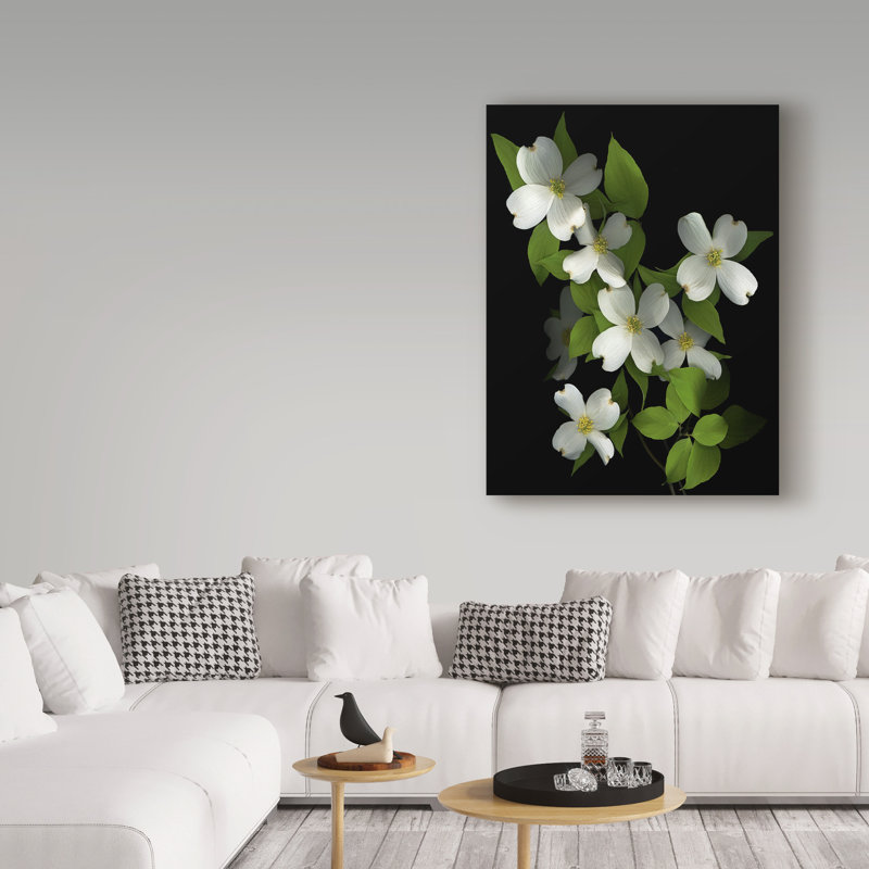 «Dogwood» par Dosta, impression sur toile tendue, H 19 po x l 14 po x P 2 po