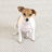Diamond Handwoven Indoor/Outdoor Rug-30602154-124933148