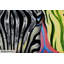 Psychedelic Zebra Hand Painted Acrylic Painting