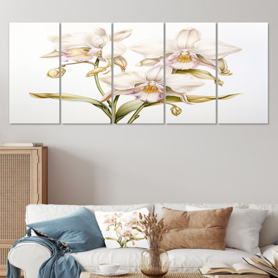 Ostrander - Orchid Wall Art Decor Set 5 Piece