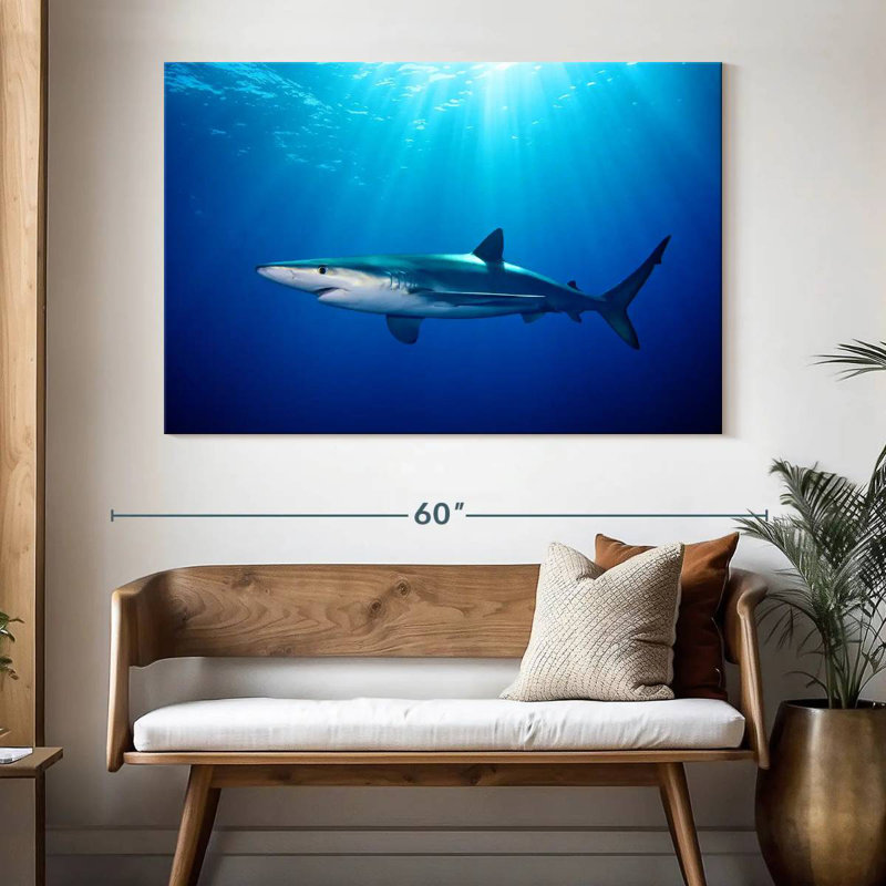 Brampt Blue Shark In Gordon's Bay