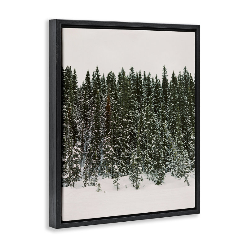 «Winter Forest Grove», art mural encadré par Justine Milton, Cadre flottant noir de jais, H 21 po x l 17 po