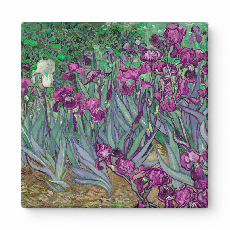 Iris (1889) - art mural carré sur toile, L 32 po x H 32 po