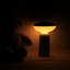 Lampe de table sans fil Owlpack Pinot
