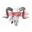 Napperon Aries