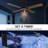 Strasser 52'' Ceiling Fan with Light Kit