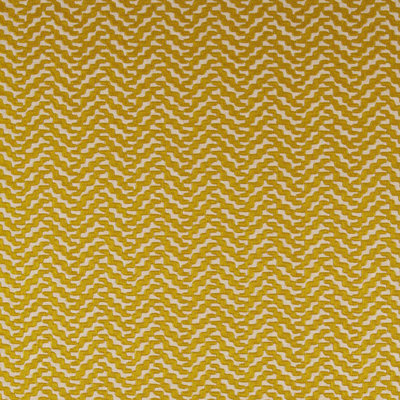 Thicket